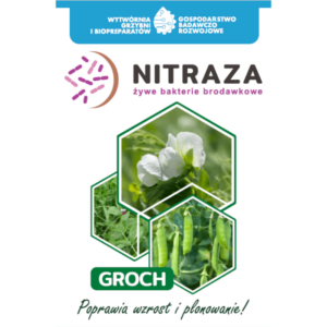 nitraza groch